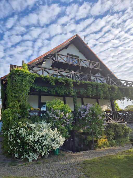 Pensjonat Rybaczowka - Noclegi, Restauracja, Port Bogaczewo  Extérieur photo